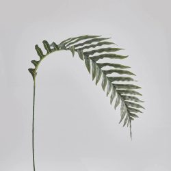 Abhika Kunstblume Palmblatt H: 145 cm  | Schubiger Möbel