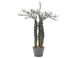 Edg Kunstpflanze Kakuts im Topf H: 80 cm  | Schubiger Möbel