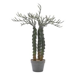 Edg Kunstpflanze Kakuts im Topf H: 80 cm  | Schubiger Möbel