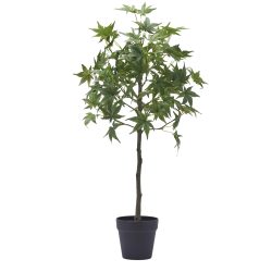 Edg Kunstpflanze Ahornbaum H: 76 cm  | Schubiger Möbel