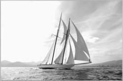 image LAND Bild mit Rahmen Segelschiff in Schwarz Weiss  | Schubiger Möbel