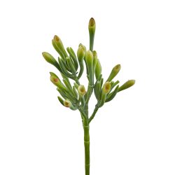 Edg Kunstblume Trompetenpflanze H: 24 cm  | Schubiger Möbel