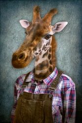 image LAND Alubild Giraffe mit Latzhose  | Schubiger Möbel