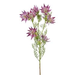 Gasper Kunstblume Proteazweig, Pink H: 78 cm  | Schubiger Möbel
