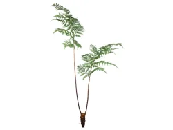 Gasper Kunstpflanze Farn H: 150 cm  | Schubiger Möbel