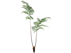 Gasper Kunstpflanze Farn H: 150 cm  | Schubiger Möbel