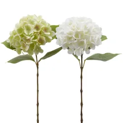 Edg Kunstblume Hortensien Ass. Weiss, Grün H: 60 cm  | Schubiger Möbel