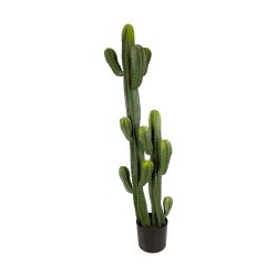 Decofinder Kunstpflanze Kaktus Grün H: 130 cm  | Schubiger Möbel