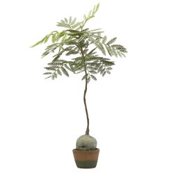 Edg Kunstpflanze Palisanderbaum H: 98 cm  | Schubiger Möbel