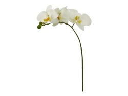 Edg Kunstblume Orchidee Weiss | Schubiger Möbel