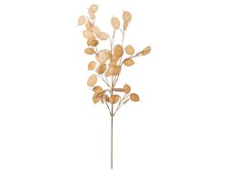 Gasper Kunstblume Pfennigblattzweig Braun H: 76 cm  | Schubiger Möbel