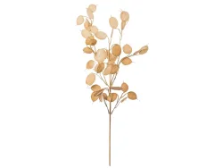 Gasper Kunstblume Pfennigblattzweig Braun H: 76 cm  | Schubiger Möbel