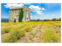 image LAND Bild mit Rahmen Bauernhaus in Der Toskana  | Schubiger Möbel