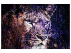 image LAND Digitaldruck auf Acrylglas Löwe in Blau  | Schubiger Möbel