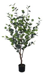 Bizzotto Kunstpflanzen Eukalyptus H: 150 cm  | Schubiger Möbel