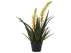 Edg Kunstpflanzen Aloe Gelb H: 70 cm Gelb | Schubiger Möbel