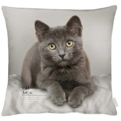 Apelt Kissenhülle Katze Grau 45x45 cm  | Schubiger Möbel