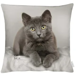 Apelt Kissenhülle Katze Grau 45x45 cm  | Schubiger Möbel