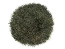 Magma Sitzauflage Pamina Grün D: 35cm Grün | Schubiger Möbel