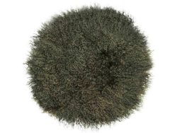 Magma Sitzauflage Pamina Grün D: 35cm Grün | Schubiger Möbel