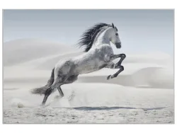 image LAND Bild mit Rahmen Wildpferd  | Schubiger Möbel