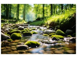 image LAND Canvas Waldbach  | Schubiger Möbel