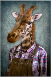 image LAND Bild mit Rahmen Giraffe mit Latzhose  | Schubiger Möbel