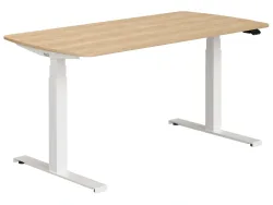 Paidi Schülerschreibtisch e-Lion Holzfarbig | Schubiger Möbel