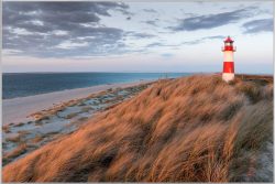 image LAND Bild mit Rahmen Leuchtturm Sylt, List Ost 3  | Schubiger Möbel