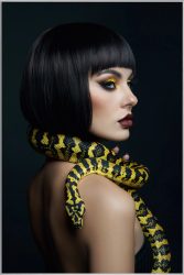 image LAND Bild mit Rahmen Frau mit Phyton  | Schubiger Möbel