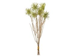 Gasper Kunstblume Urchinzweig-Bund Grün H: 43 cm  | Schubiger Möbel