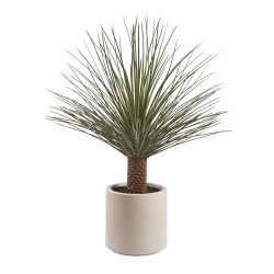 Edg Kunstpflanze Yucca H: 124 cm  | Schubiger Möbel