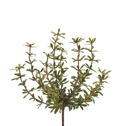 Edg Kunstblume Portulak Orange H: 27 cm  | Schubiger Möbel