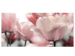 image LAND Digitaldruck auf Acrylglas Blüten in Rose  | Schubiger Möbel