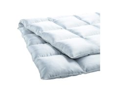Billerbeck Ganzjahresduvet Eider Light Champagne Beige | Schubiger Möbel