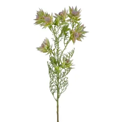 Gasper Kunstblume Proteazweig, Grün H: 78 cm  | Schubiger Möbel