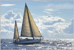 image LAND Bild mit Rahmen Grosses Segelschiff  | Schubiger Möbel