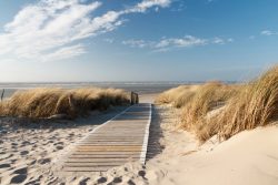 image LAND Alubild Holzweg Zum Meer 1  | Schubiger Möbel
