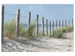 image LAND Digitaldruck auf Acrylglas Zaun in Den Dünen  | Schubiger Möbel