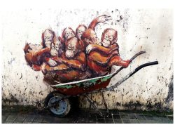 image LAND Digitaldruck auf Glas Street Art mit Orang-Utans  | Schubiger Möbel