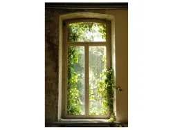 image LAND Digitaldruck auf Acrylglas Fenster mit Laub 2  | Schubiger Möbel