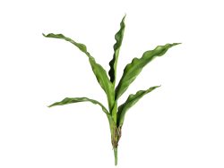 Gasper Kunstblume Cymbidiumblatt H: 55 cm  | Schubiger Möbel