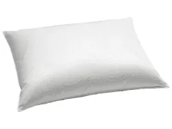 Billerbeck Kissen Eider Soft Plus Alpha Weiss | Schubiger Möbel