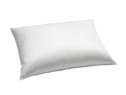 Billerbeck Kissen Eider Soft Plus Alpha Weiss | Schubiger Möbel