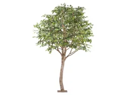 Gasper Kunstpflanzen Ficus Benjamina Naturstamm Auf Metallplatte H: 260  | Schubiger Möbel