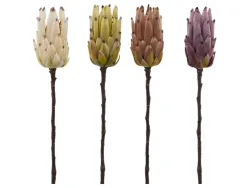 Edg Kunstblumen Protea Gemischt H: 50 cm  | Schubiger Möbel