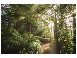 image LAND Acrylglasbild Gewächshaus mit Lichtreflexen  | Schubiger Möbel
