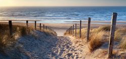 image LAND Alubild Sandweg Zum Meer 2  | Schubiger Möbel