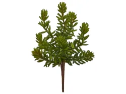 Edg Kunstblume Sukkulente H: 25 cm  | Schubiger Möbel