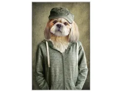 image LAND Bild mit Rahmen Witziger Hund mit Jacke  | Schubiger Möbel